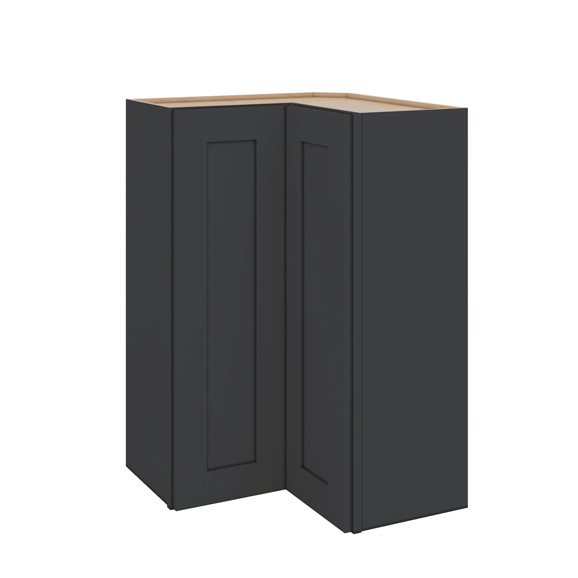 Modernform Cabinet Onyx Black Shaker 24" W X 36" H X 12" D Wall Easy Reach Cabinet