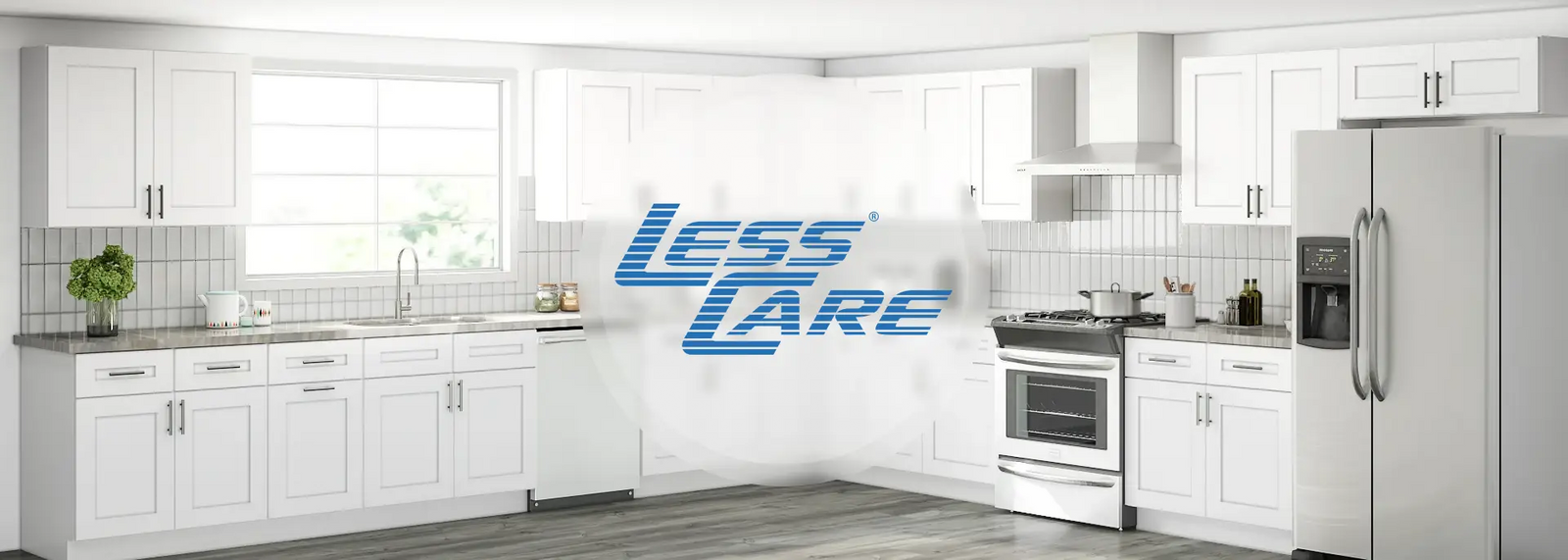 lesscare brand